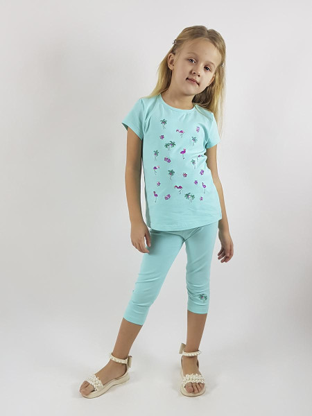 Комплект для девочки (фуфайка+лосины)