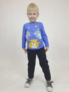 Фуфайка для мальчика