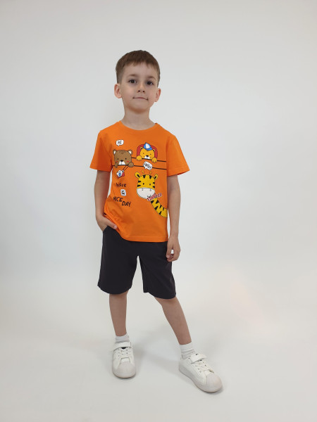 Комплект для мальчика (фуфайка+шорты)