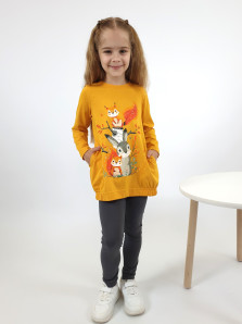 Комплект для девочки (джемпер+ лосины)