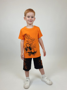 Комплект для мальчика (джемпер+шорты)