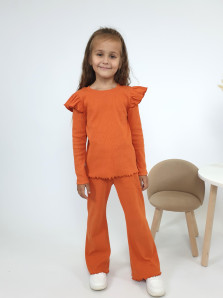 Комплект для девочки (джемпер+ брюки)