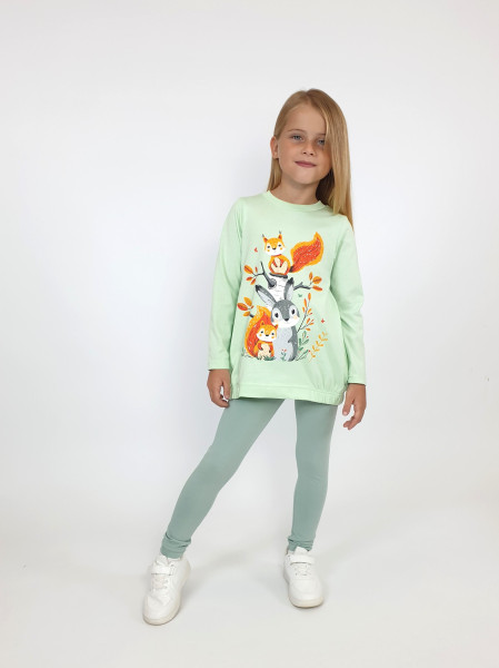 Комплект для девочки (джемпер+ лосины)