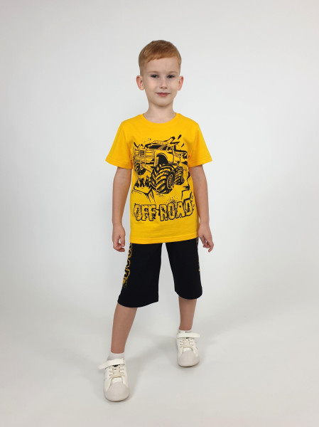 Комплект для мальчика (джемпер+шорты)