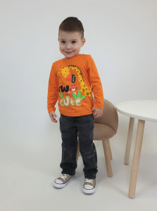 Фуфайка для мальчика