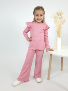 Комплект для девочки (джемпер+ брюки)