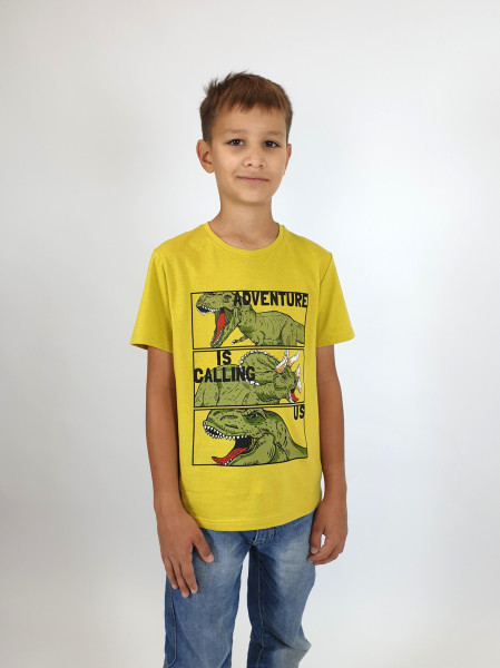 Футболка для мальчика