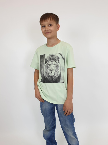 Футболка для мальчика