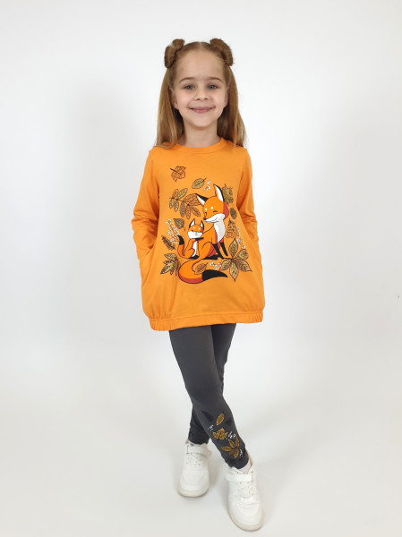 Комплект для девочки (джемпер+ лосины)