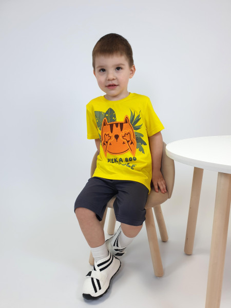 Комплект для мальчика (фуфайка+шорты)