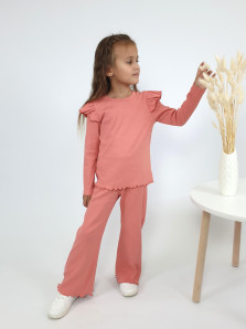 Комплект для девочки (джемпер+ брюки)