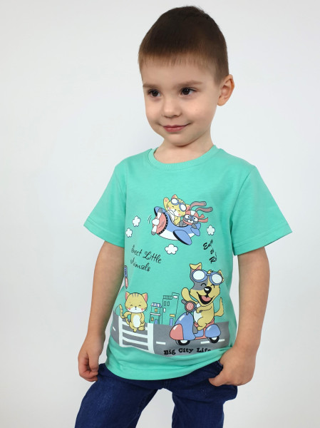 Фуфайка для мальчика