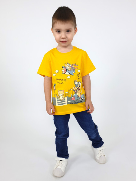 Фуфайка для мальчика